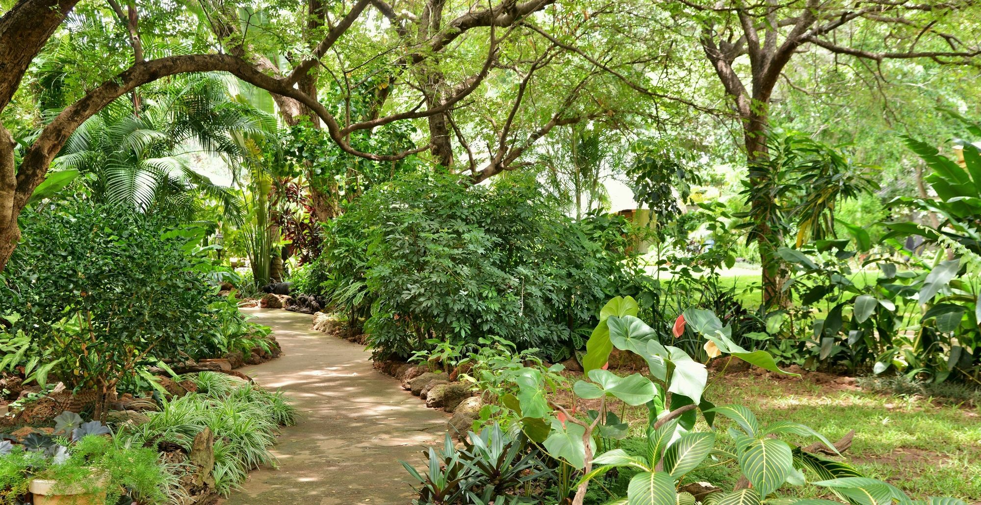 Bayete Guest Lodge วิกตอเรียฟอลส์ ภายนอก รูปภาพ