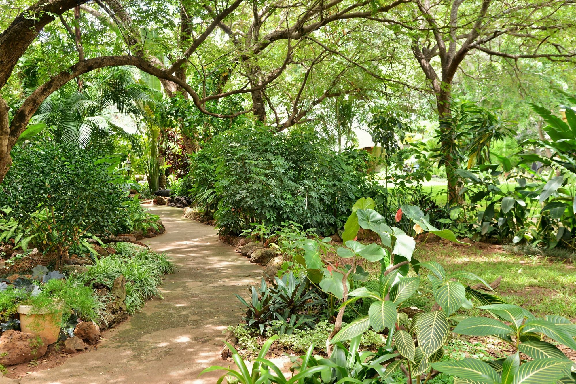 Bayete Guest Lodge วิกตอเรียฟอลส์ ภายนอก รูปภาพ