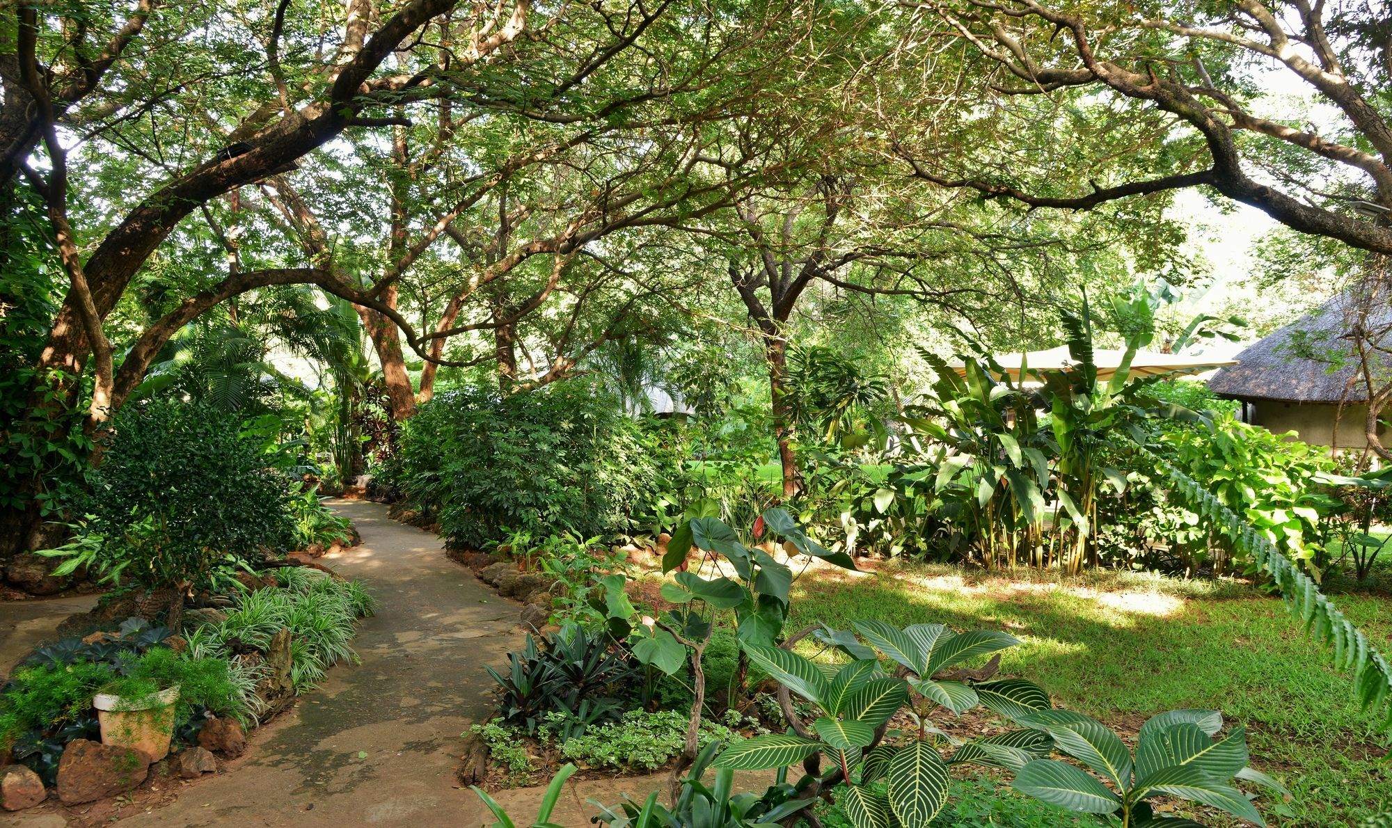 Bayete Guest Lodge วิกตอเรียฟอลส์ ภายนอก รูปภาพ